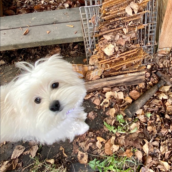 Meet your Posher, Katherine - Picture 4 of 7